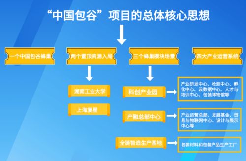 株洲推動食品與包裝產業對接，億元級標桿項目落地的全流程策劃與服務實踐